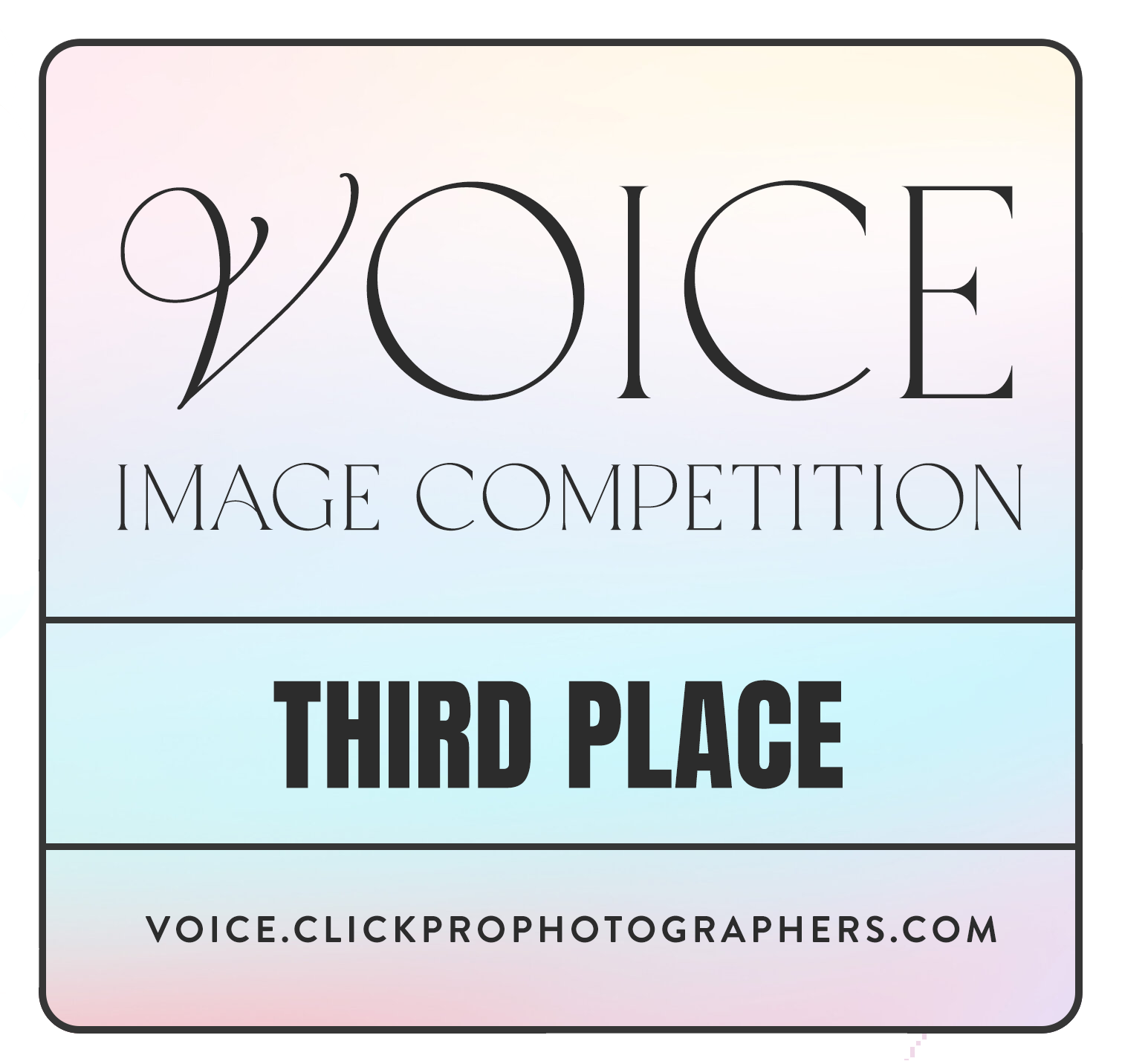 voice-2023-thirdplace.png