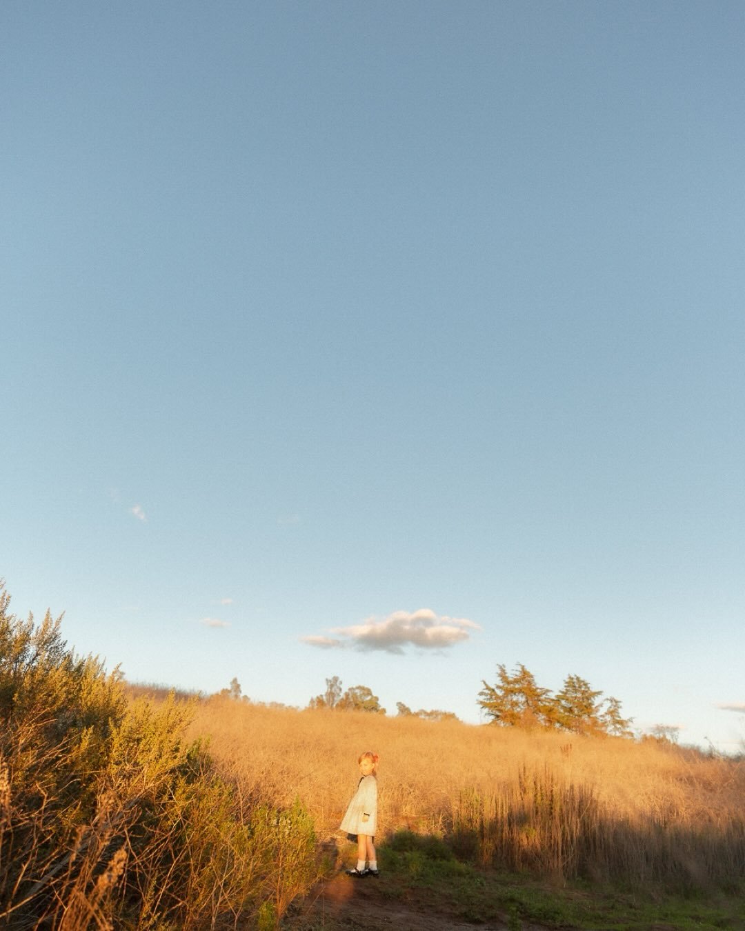 Love you most ✨ @lkr812 @ty.roth 

#philchesterpresets #theheartfulphotogs