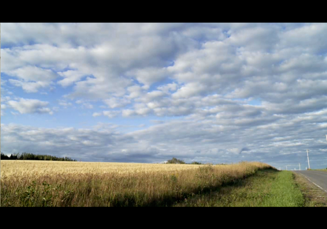 countryside.png