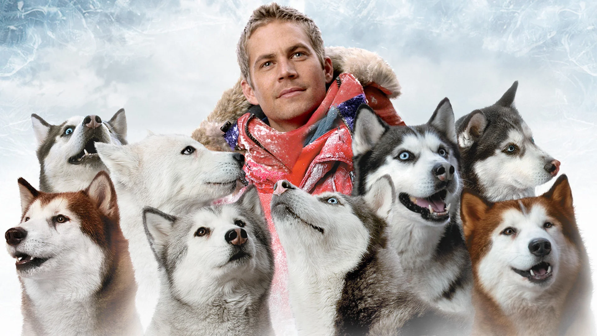 PHOTO CREDIT: Image of Paul Walker and his beloved huskies from Eight Below via Google .
