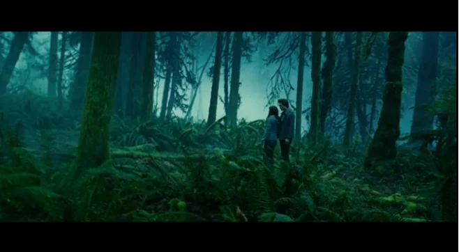 PHOTO CREDIT: Above Twilight screenshot is of a scene filmed in the woods of Oxbow Park where Edward and Bella have their rendez-vous.