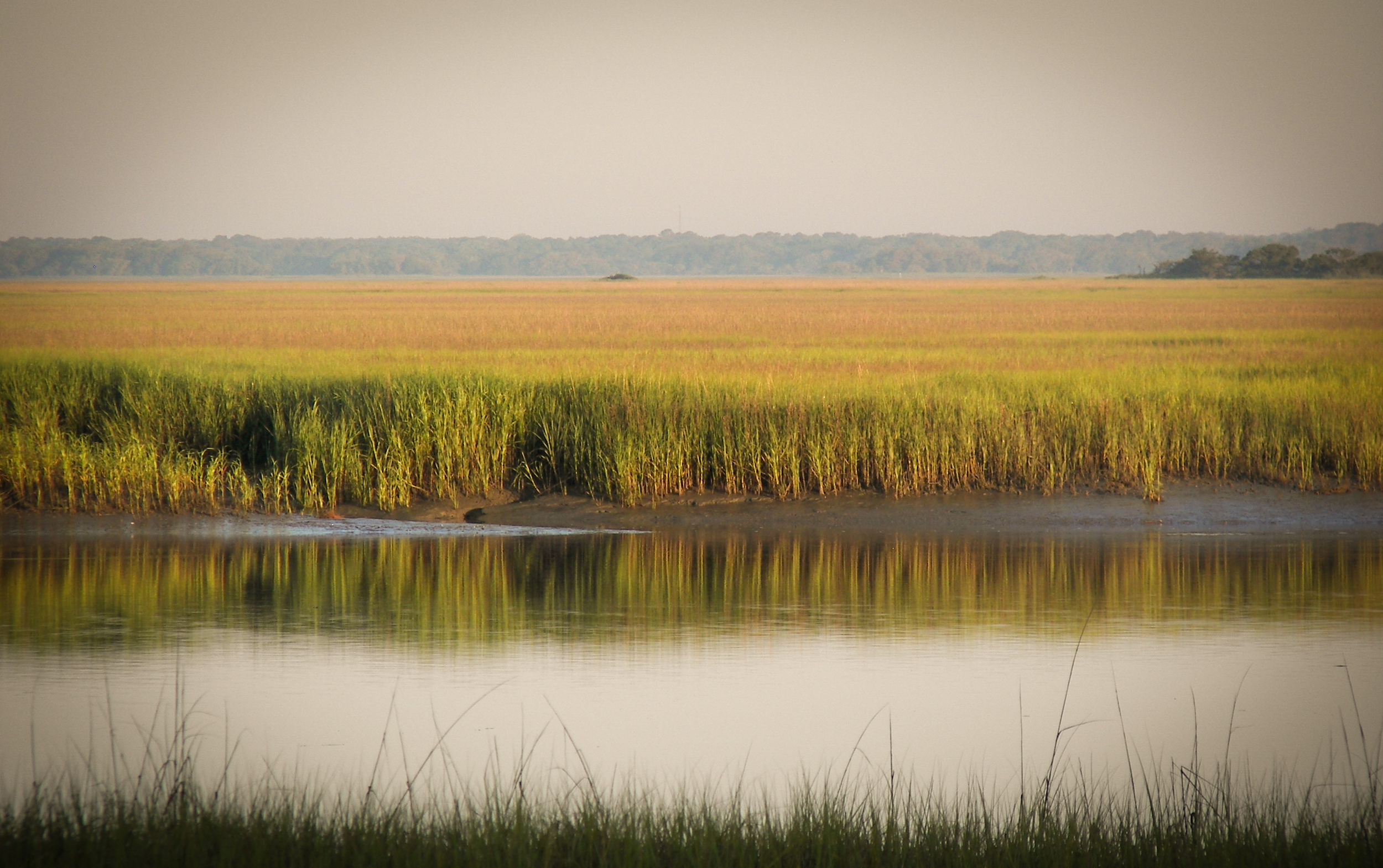 Image of Hunting Island, South Carolina via Google .