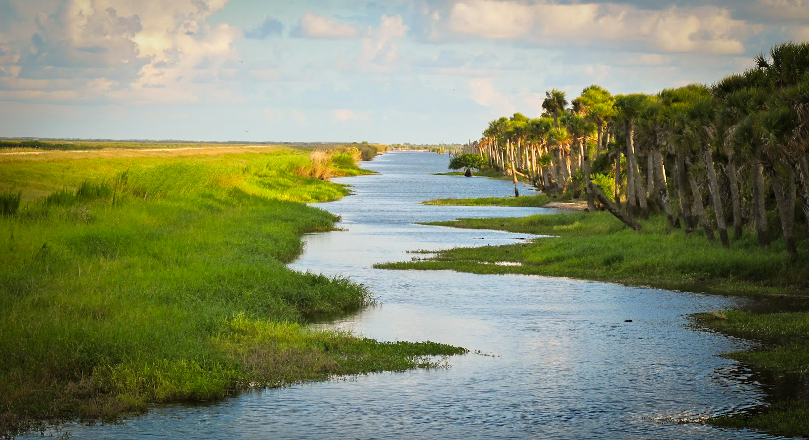 Image of Everglades, Florida via Google .