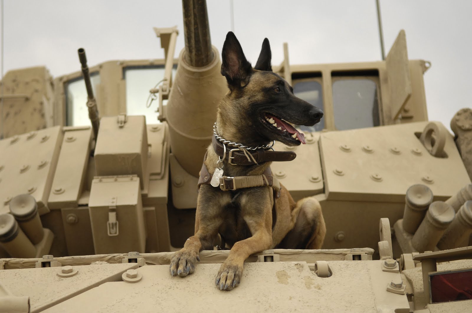 A production still of Max - image via Google .