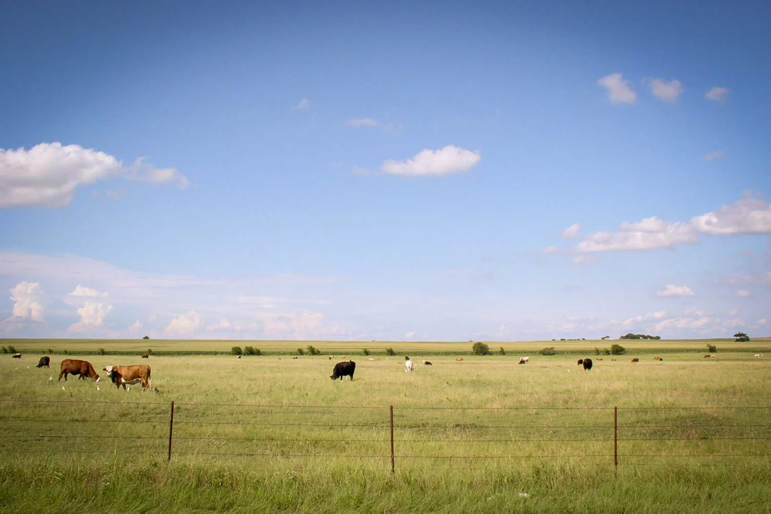Rolling farmland of the Greater Dallas-Fort Worth Region is one of the many available film locations in the area - image via the Dallas Film Commission.