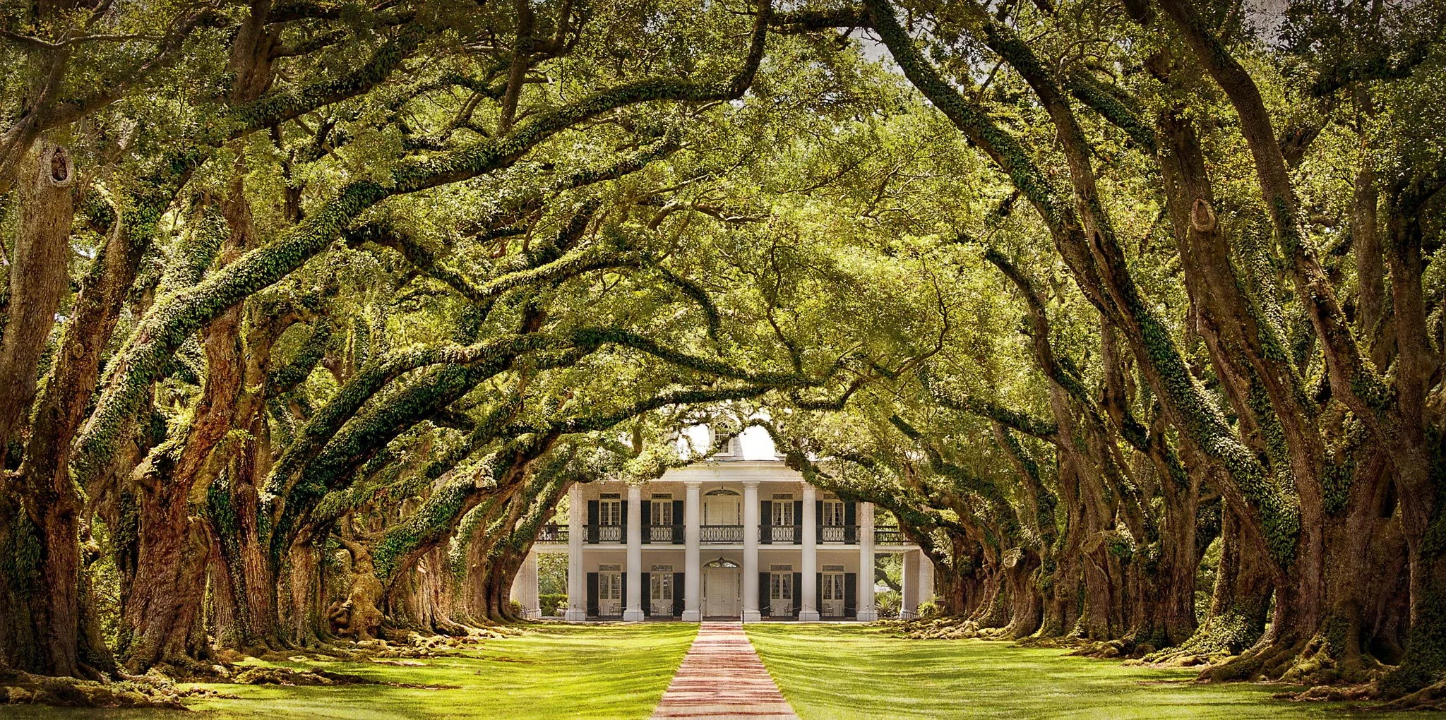 Photo of Oak Alley Plantation via Google.