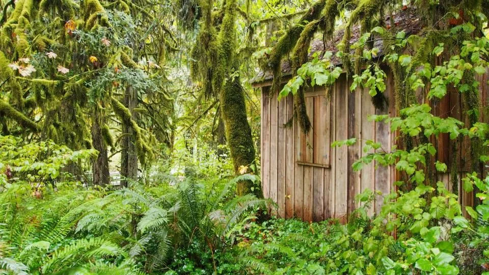 FEATURED LOCATION Trout Creek Wilderness Lodge in Molalla, Oregon