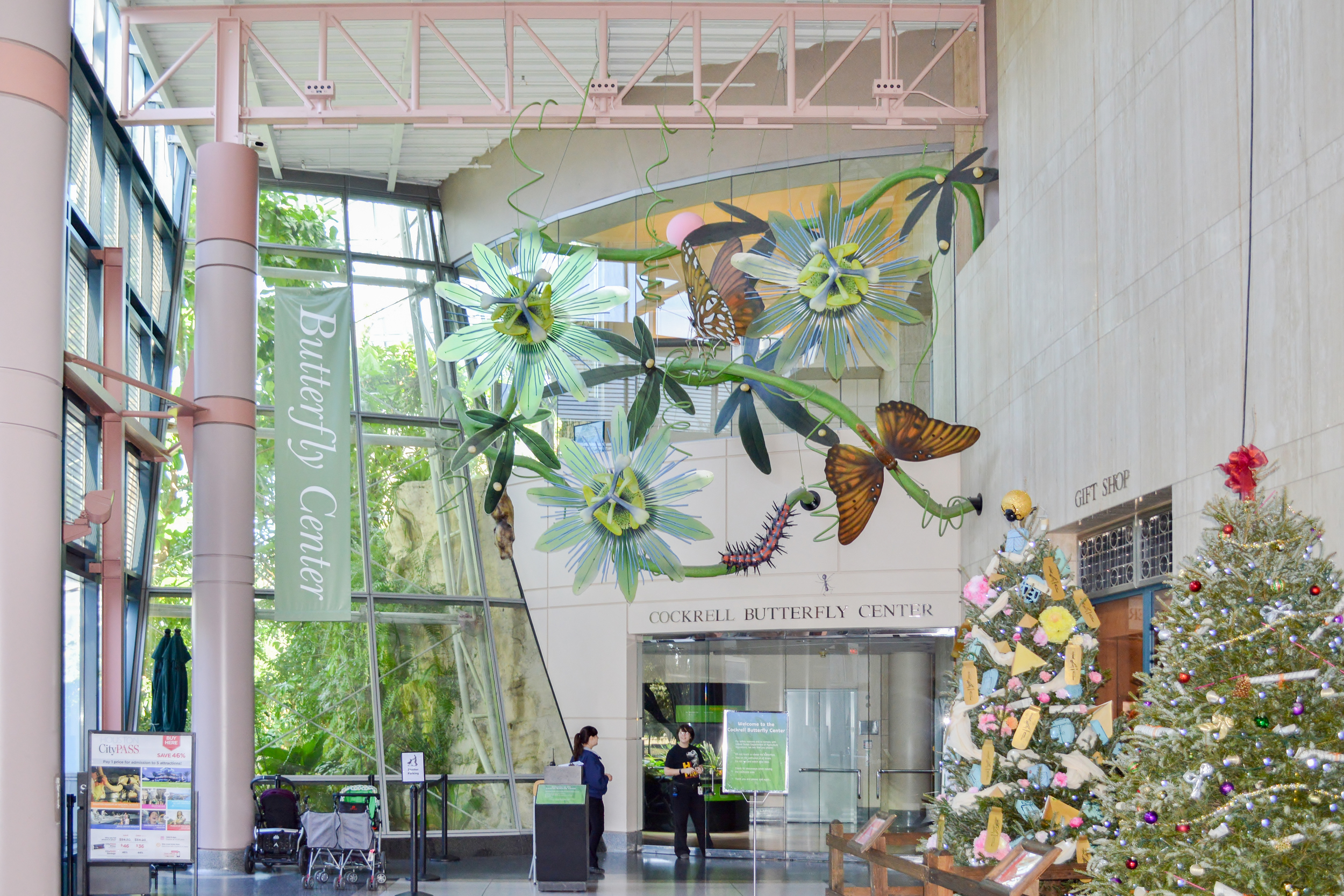 The entrance of the Cockerel Butterfly Center at the Houston Museum of Natural Science, where Boyhood was filmed. (Image via Google.)