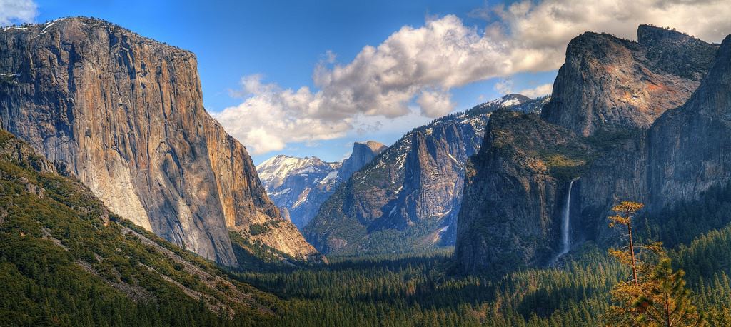 Among the many movies filmed at Yosemite National Park are Star Trek V: The Final Frontier, Monty Python and the Holy Grail, The Caine Mutiny, Maverick, Order of the Eagle, and the Ken Burns documentary National Parks: America's Best Idea.