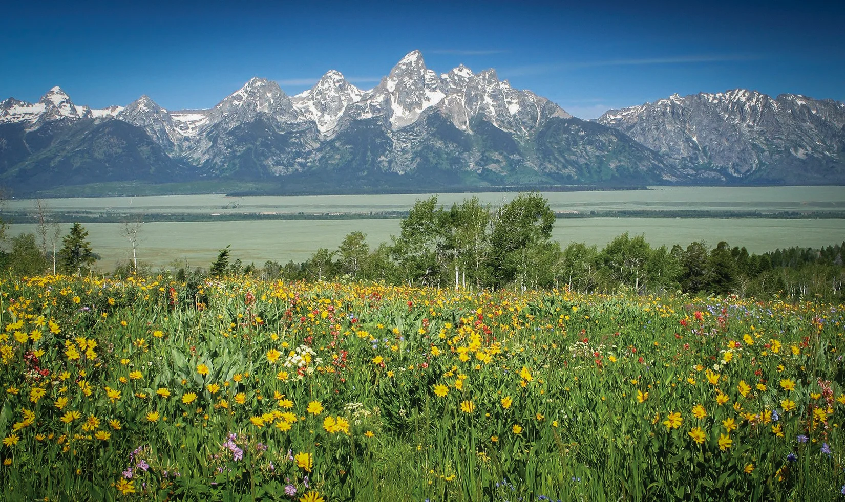 Movies filmed at Grand Teton National Park includes Rocky IV and Shane.