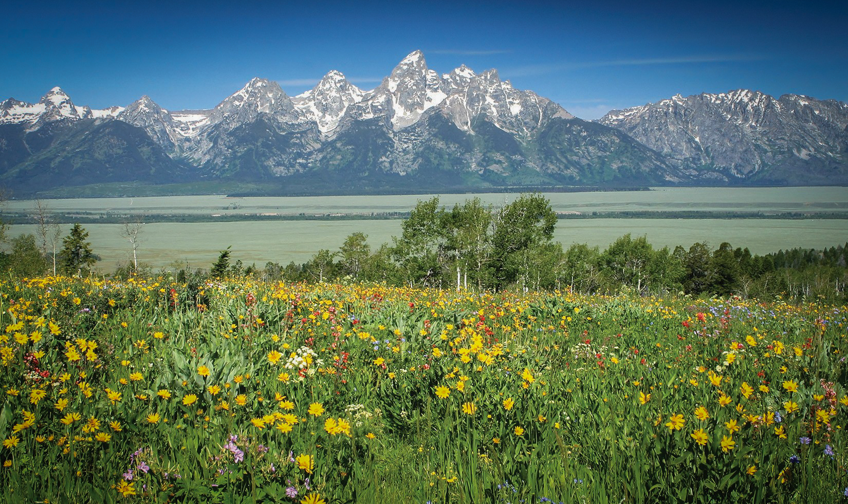 Movies filmed at Grand Teton National Park includes Rocky IV and Shane.