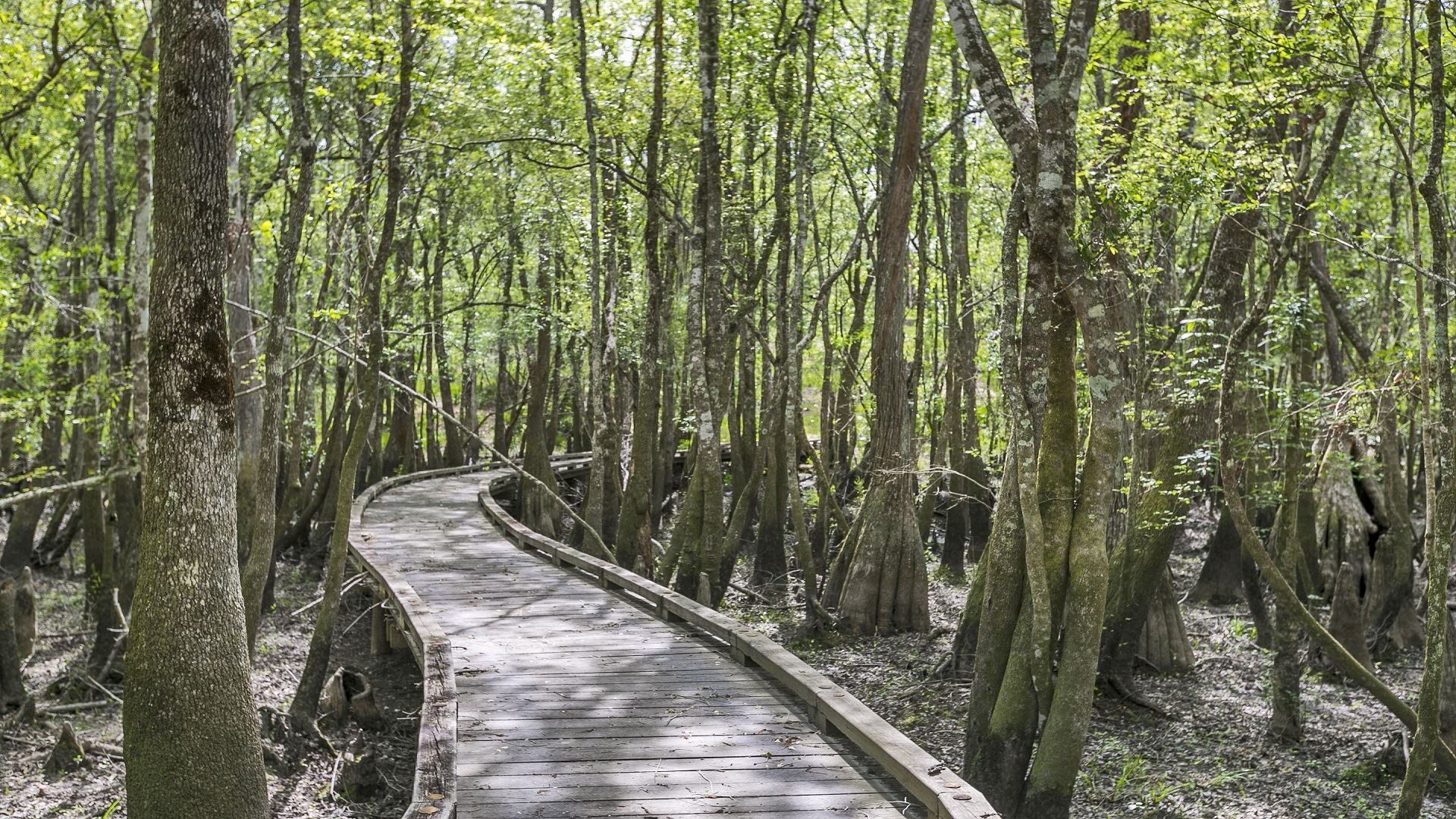 FEATURED FILMING LOCATION Stars Aligned River Retreat — LocationsHub