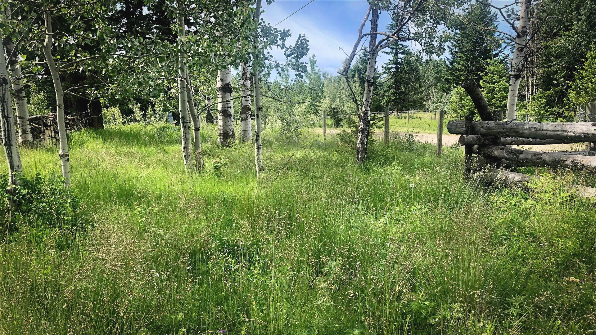 FEATURED FILMING LOCATION: Akashic Ranch — LocationsHub
