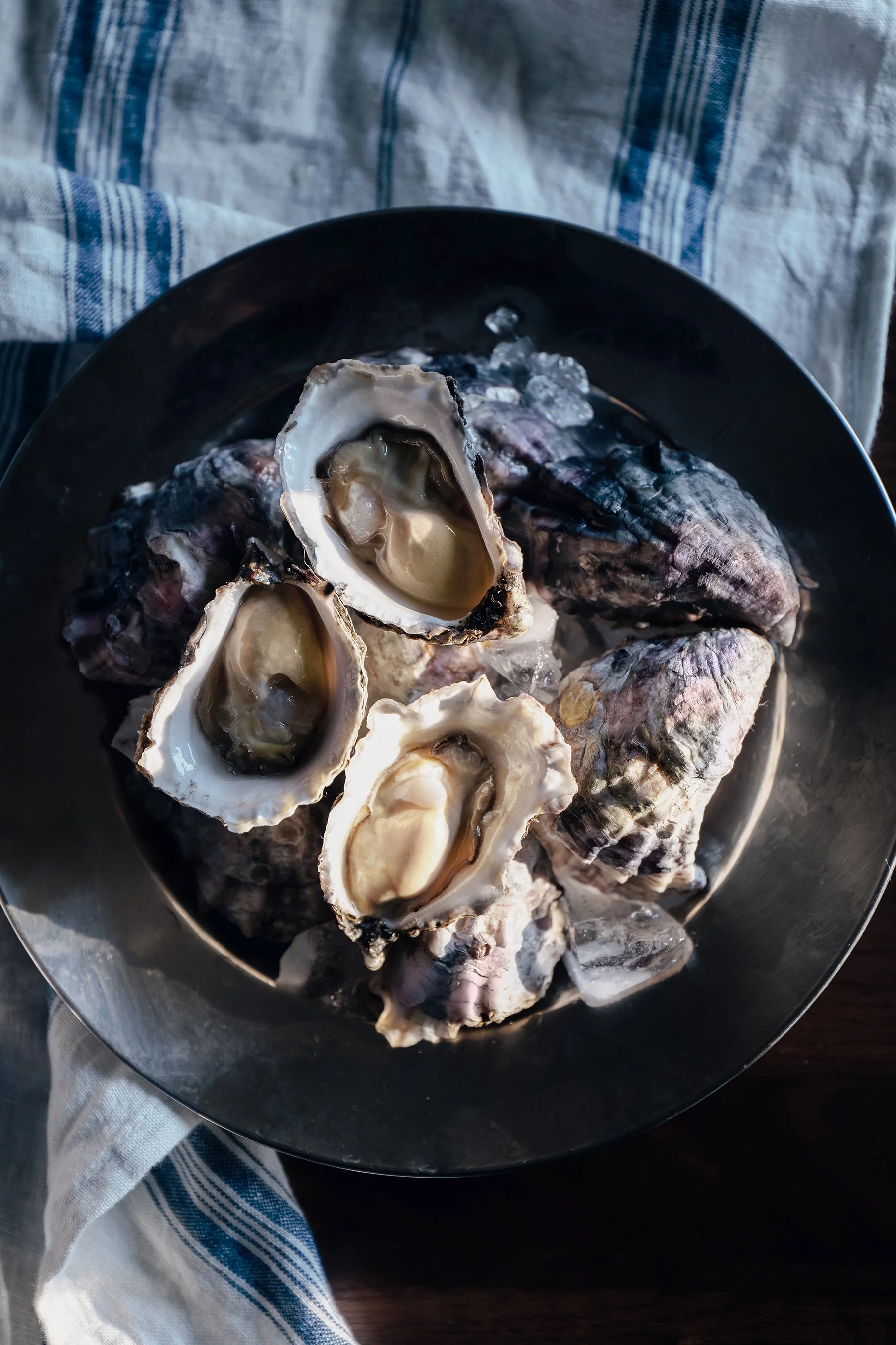 FEATURED FILM LOCATION Sydney Oyster Farm — LocationsHub