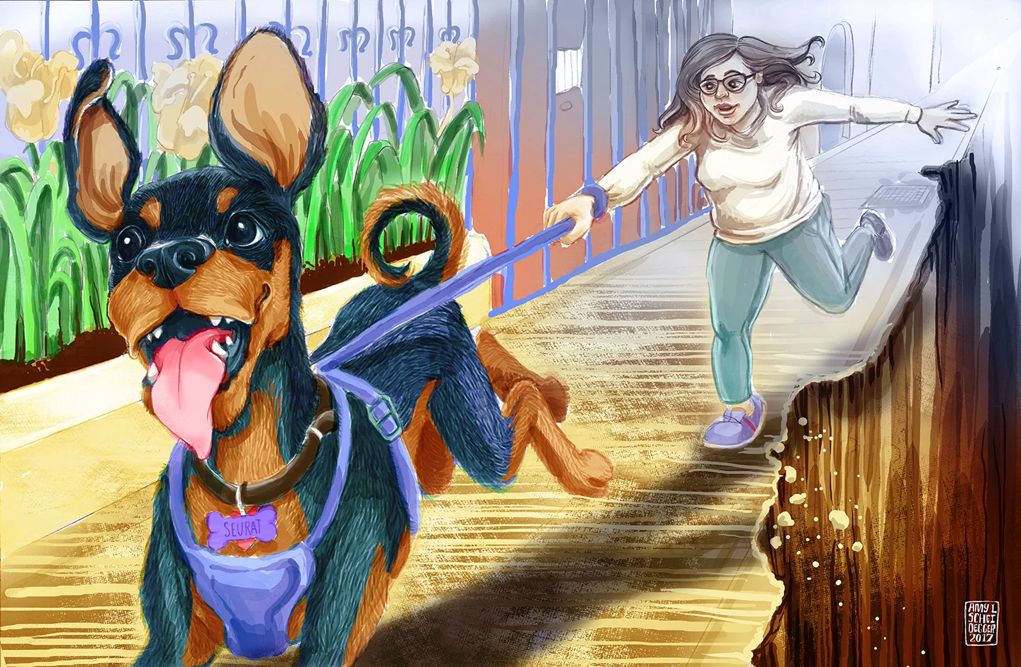 Dog Walks_WEB.jpg