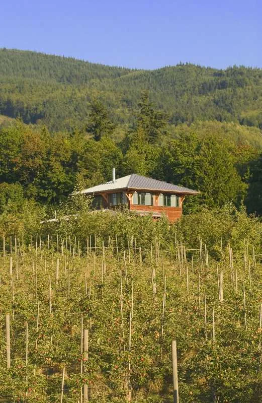 Orchard House — Greg Robinson Architect