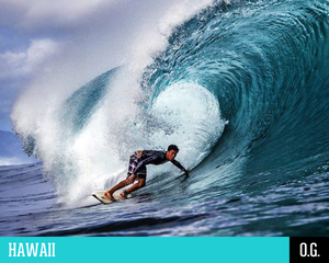 wp-hawaii-brian.png