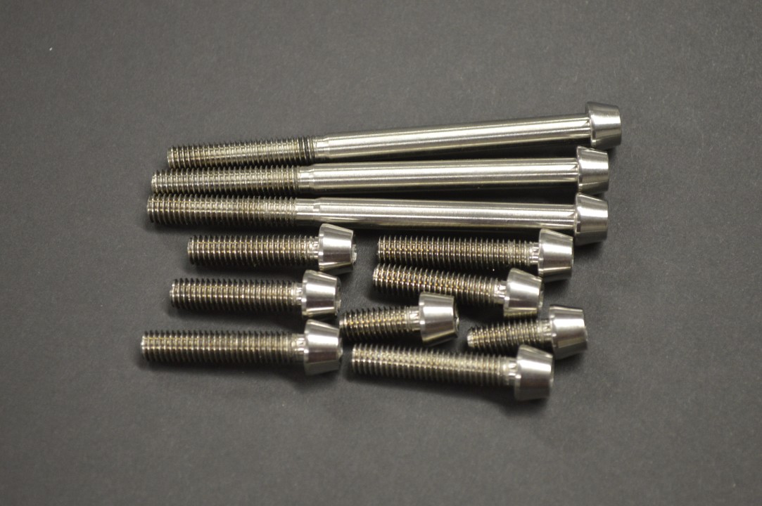 Ducati 900, 750, 620 Titanium Case Bolt Kit