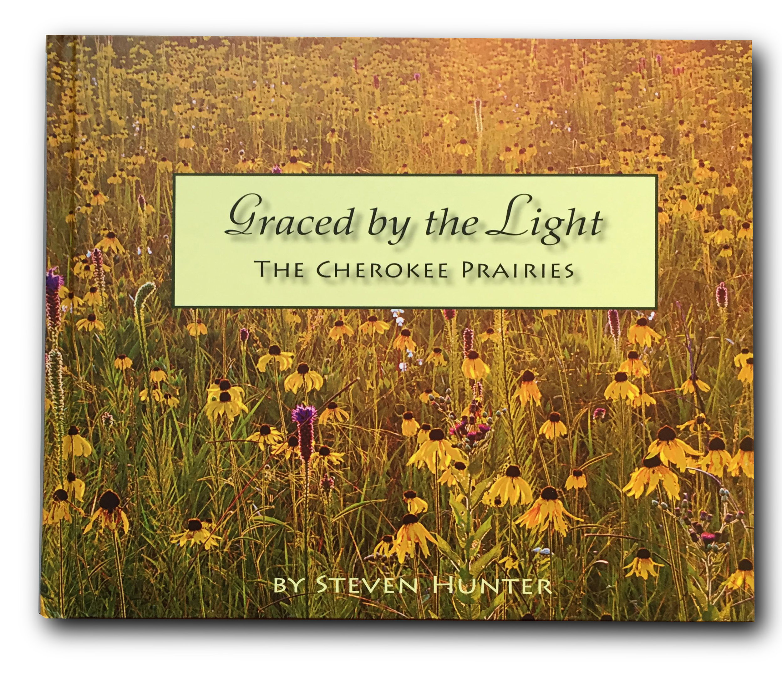 Graced by the Light was both a hard cover and a soft cover. Above is the hard cover printed cover, but to the left is both the soft cover cover image and the hard cover dust jacket image.