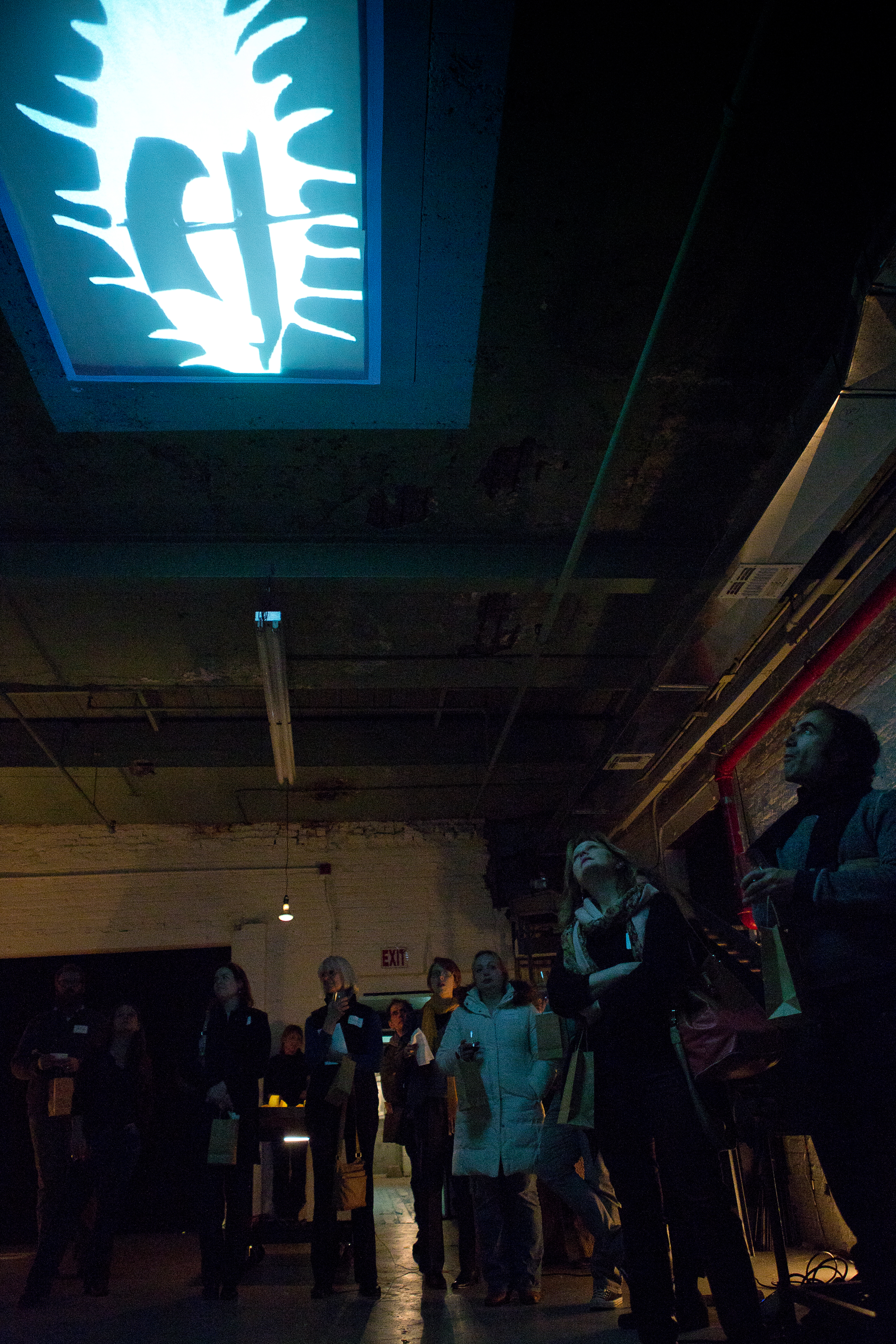 Are They Edible_flux factory_078.jpg