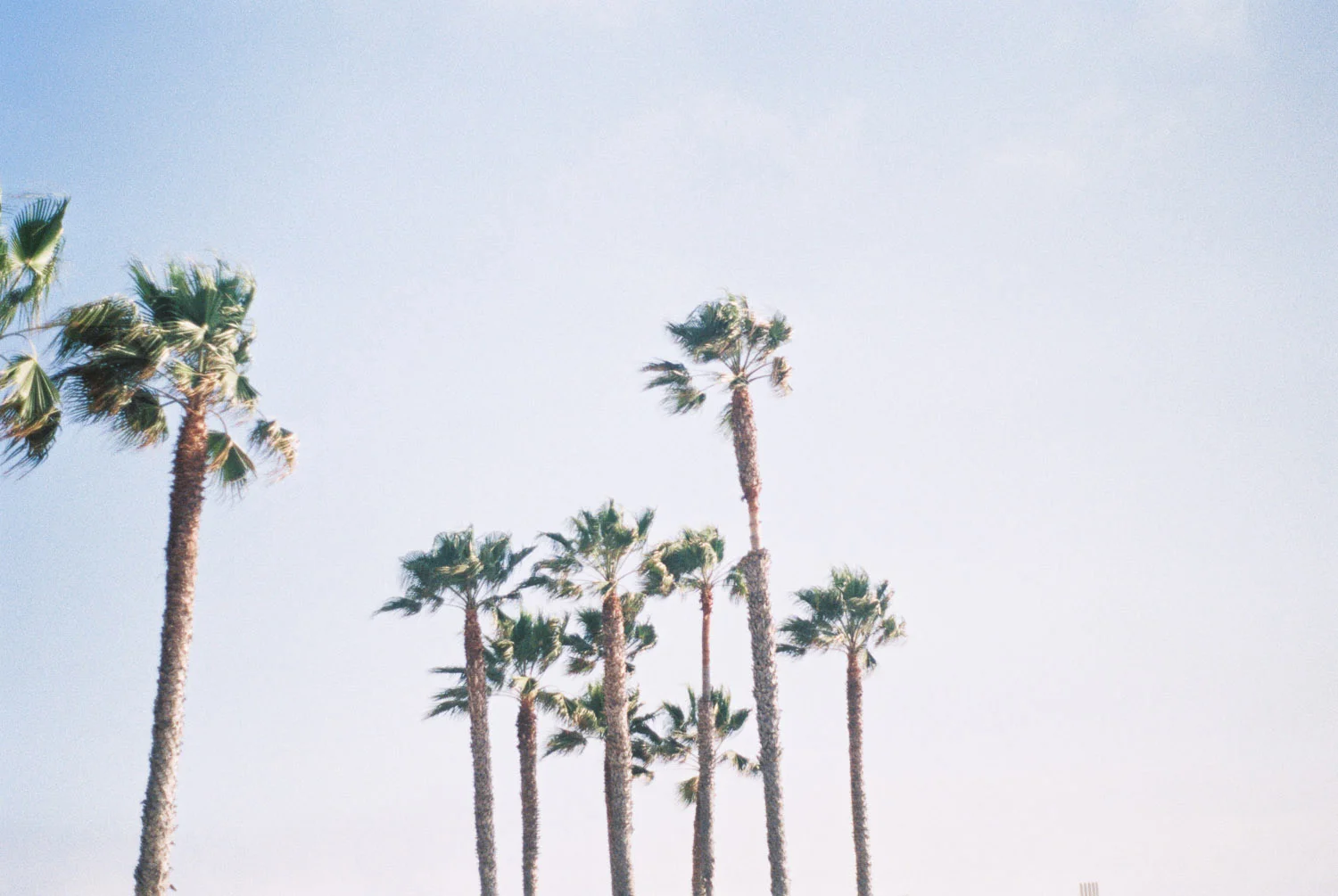 kateweinsteinphoto_losangeles_8.jpg