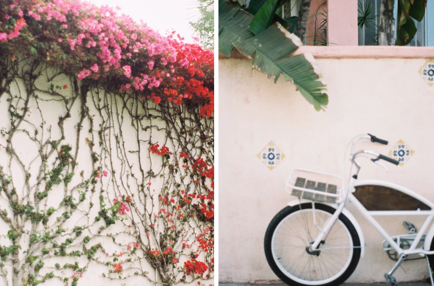 kateweinsteinphoto_losangeles_1.jpg