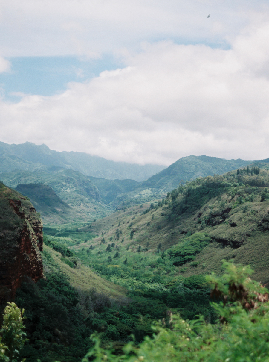 kateweinsteinphoto_hawaii_landscape_chicago_film_wedding_photographer100.jpg