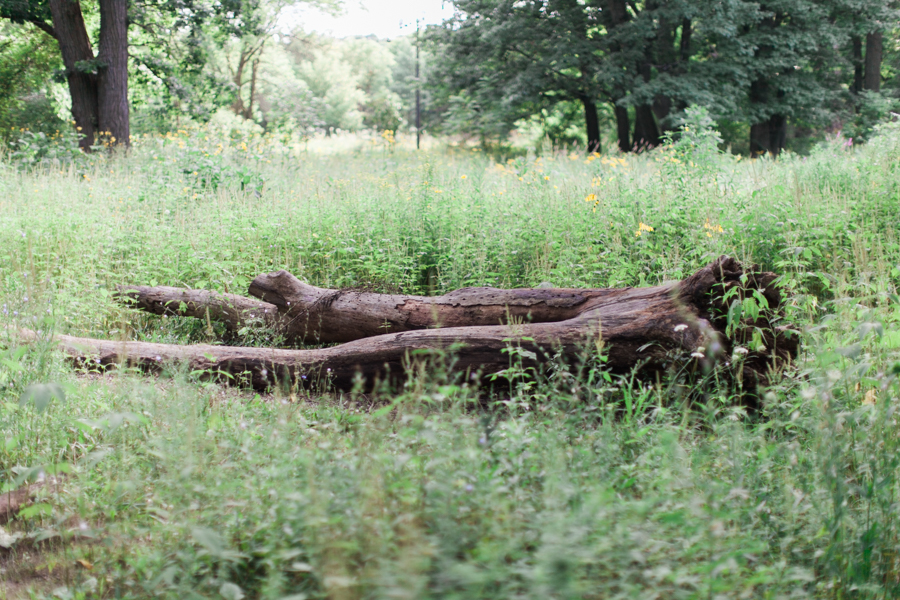 kateweinsteinphoto_meadow_wedding_chicago_fine_art_film_wedding_photographer108.jpg