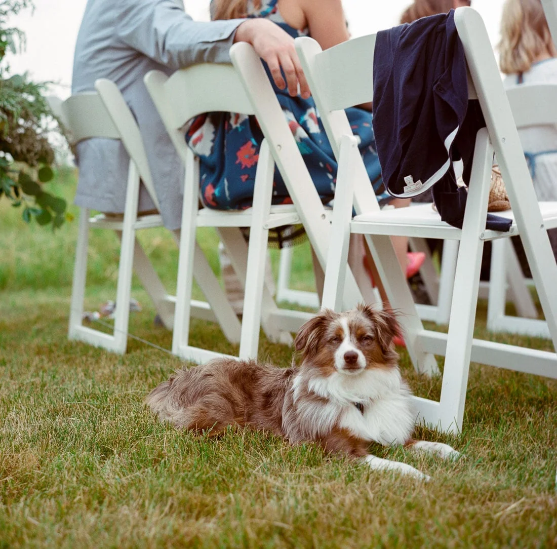 kateweinsteinphoto_milwaukee_wedding_tent-154.jpg