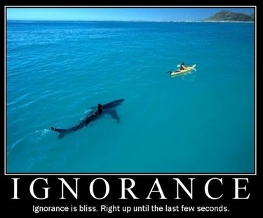 Ignorance is bliss- until final seconds.jpeg