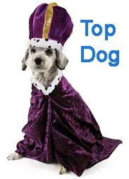 Top Dog- crown.jpg