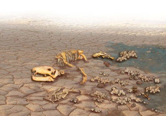 extinction.jpeg