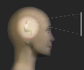 performance visualization.jpg
