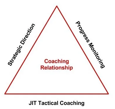 coaching relationship triangle.jpg