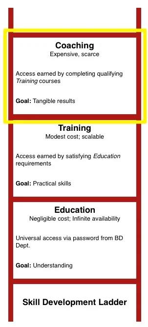 Learning Ladder- coaching.jpg