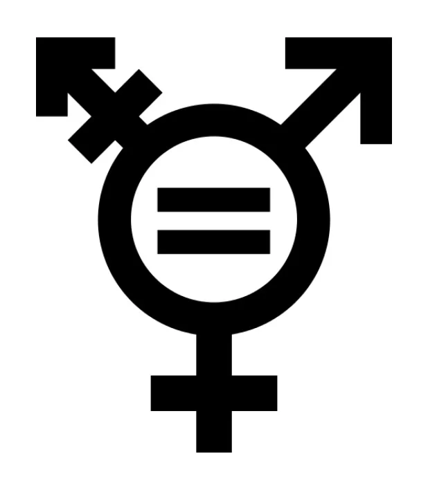 gender_and_learning.jpg