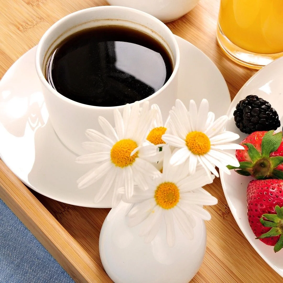 Metro Vancouver Presents Sustainability Community Breakfasts