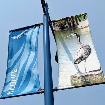 City of Richmond Opens Applications for 2020 Project Grants
