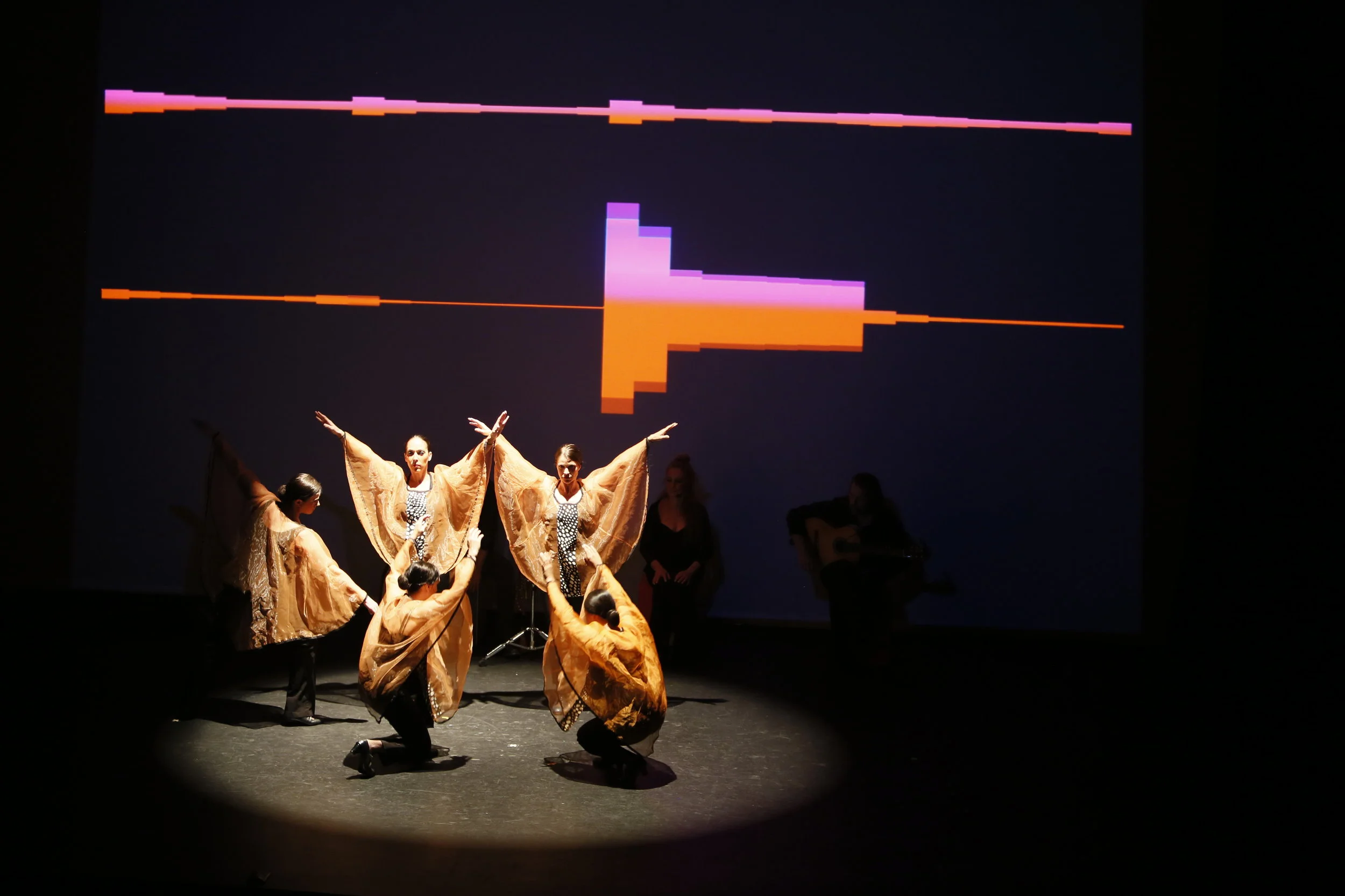 Image: Vancouver International Flamenco Festival.
