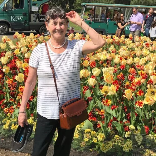 The ED Report, June 2020