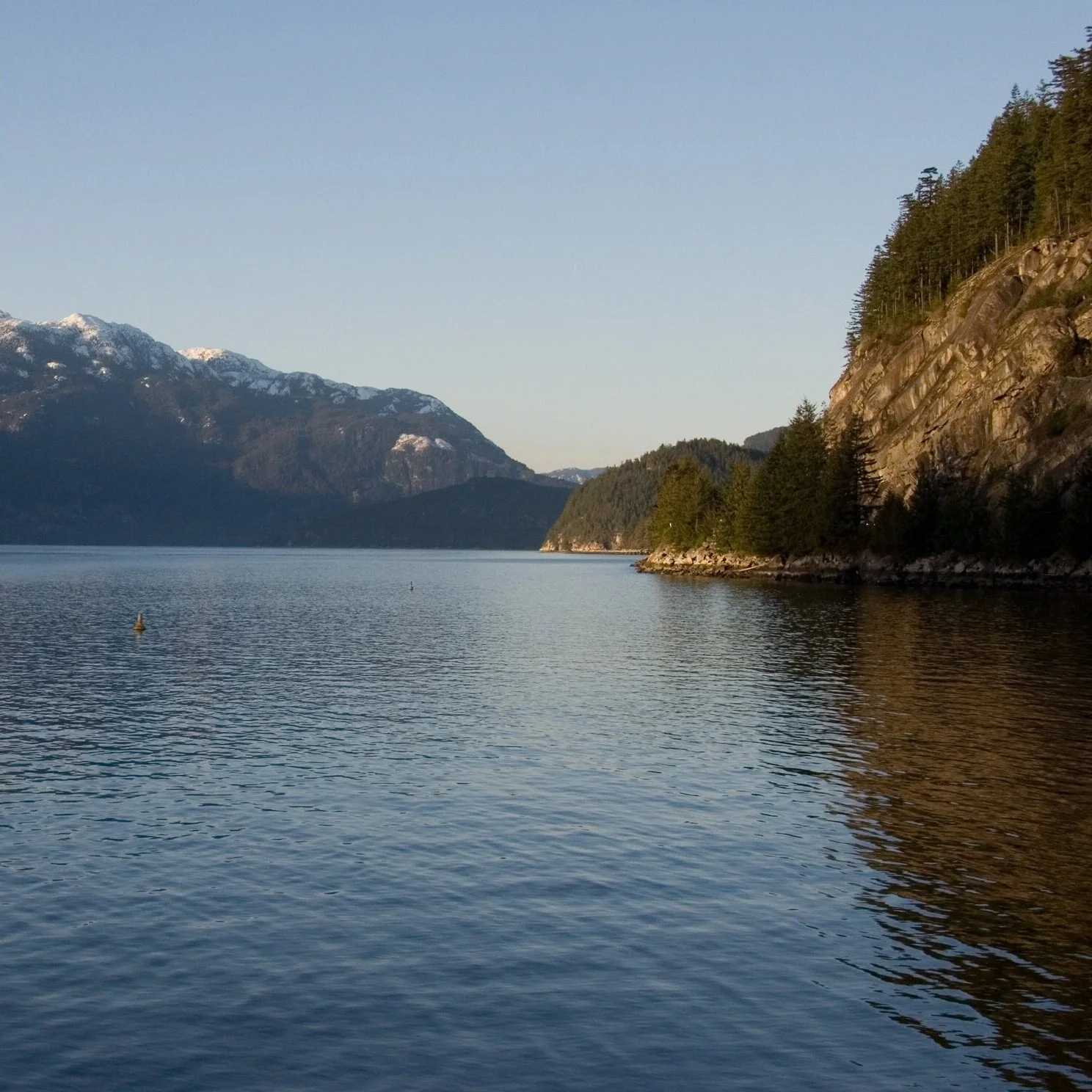 The ED Report, December 2020