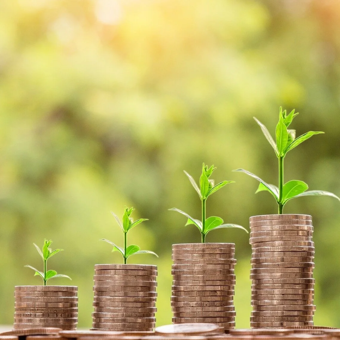 HASCAP Benefit Provides Loans to Pandemic-Affected Businesses