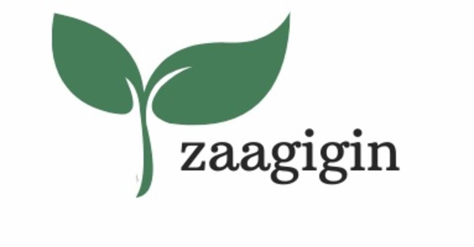 zaagigin imprint by Coach House Books — BC Alliance for Arts + Culture 2 Introducing the Coach House Books Non fiction Indigenous Advisory Board zaagigin rb blogfeatured