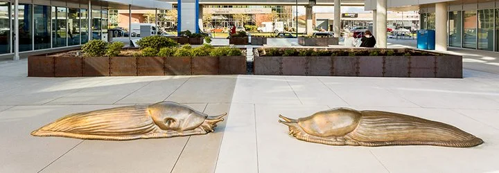 Volunteers Needed for Public Art Committee