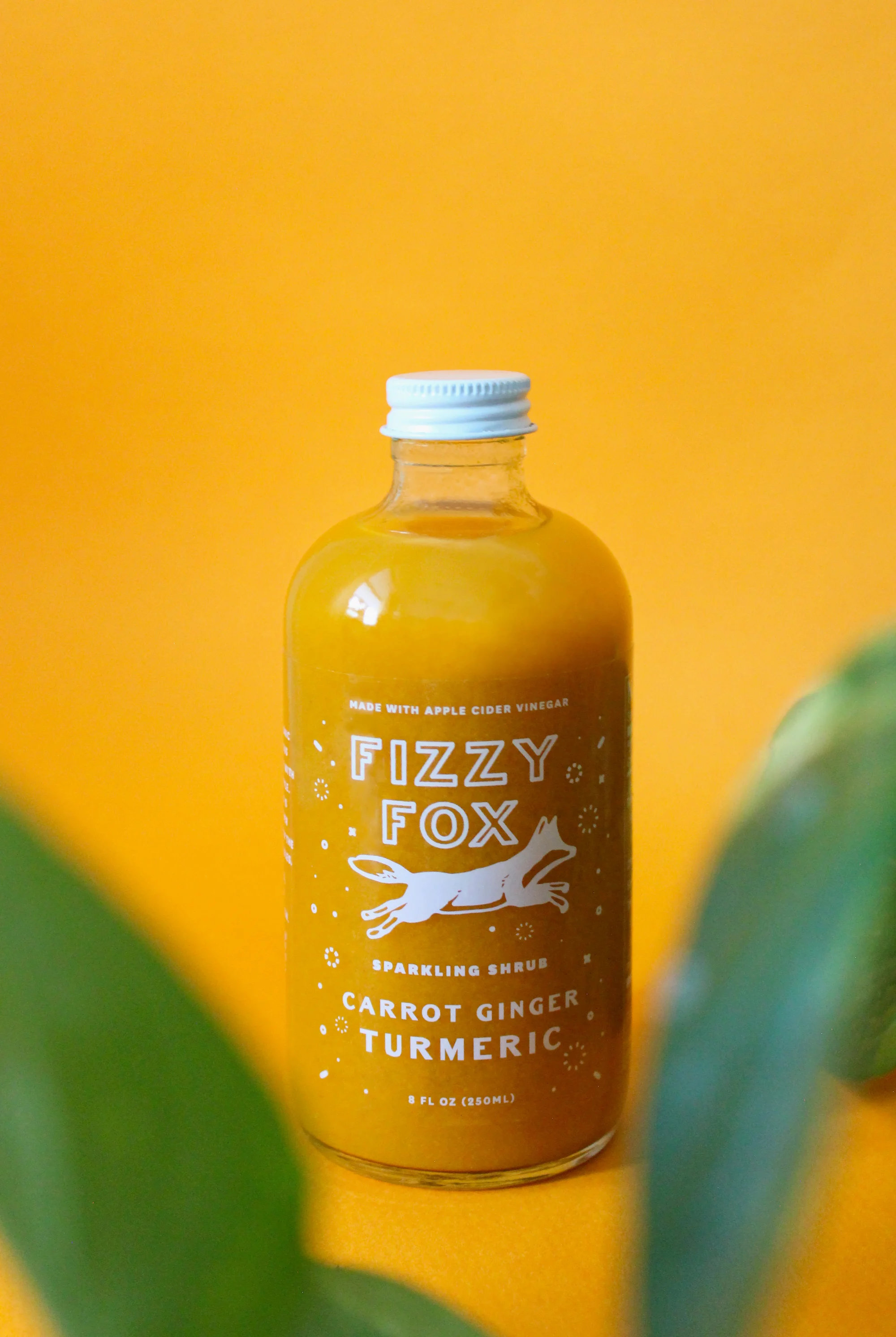 Fizzy Fox Shrub Sodas