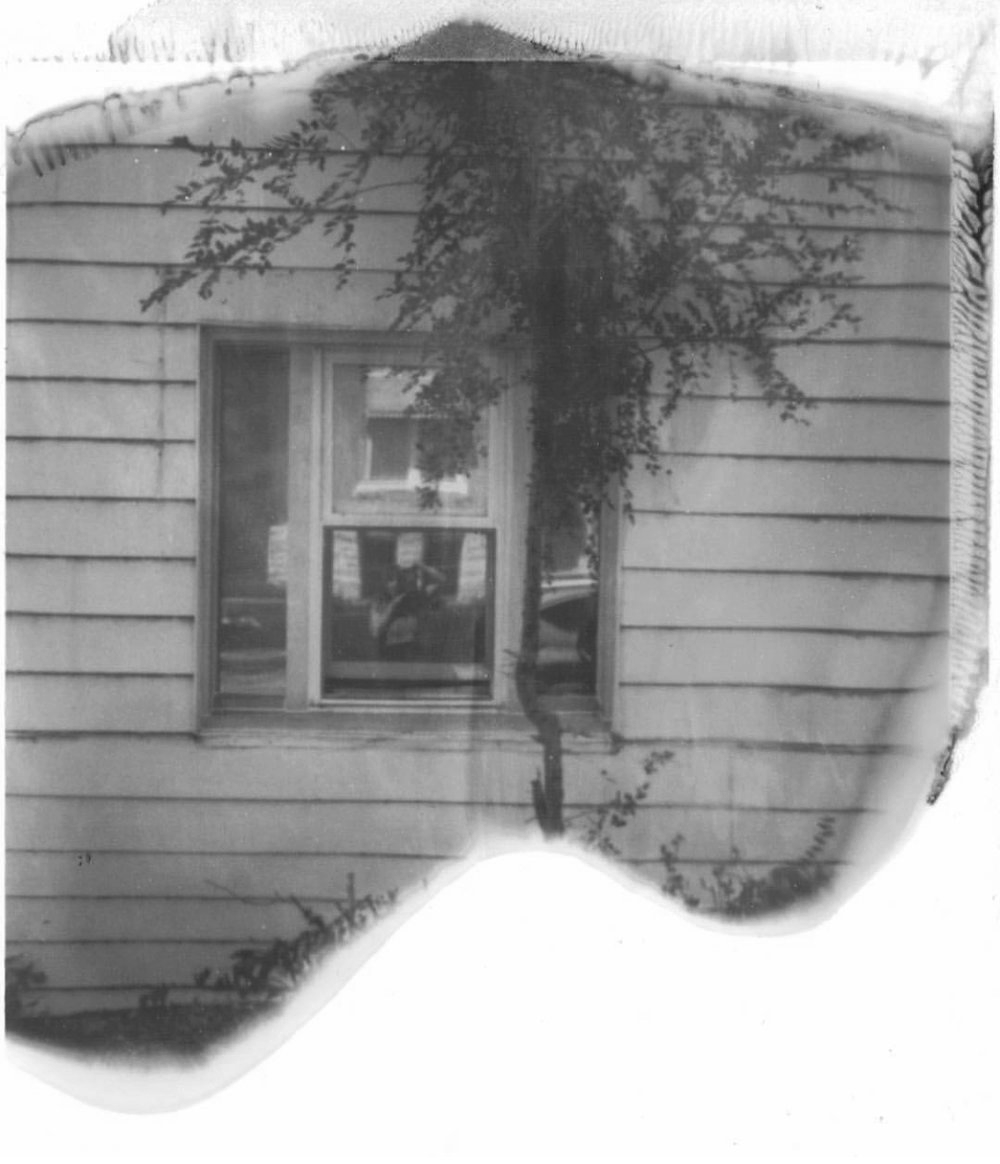 mffoster_2018Polaroid.png