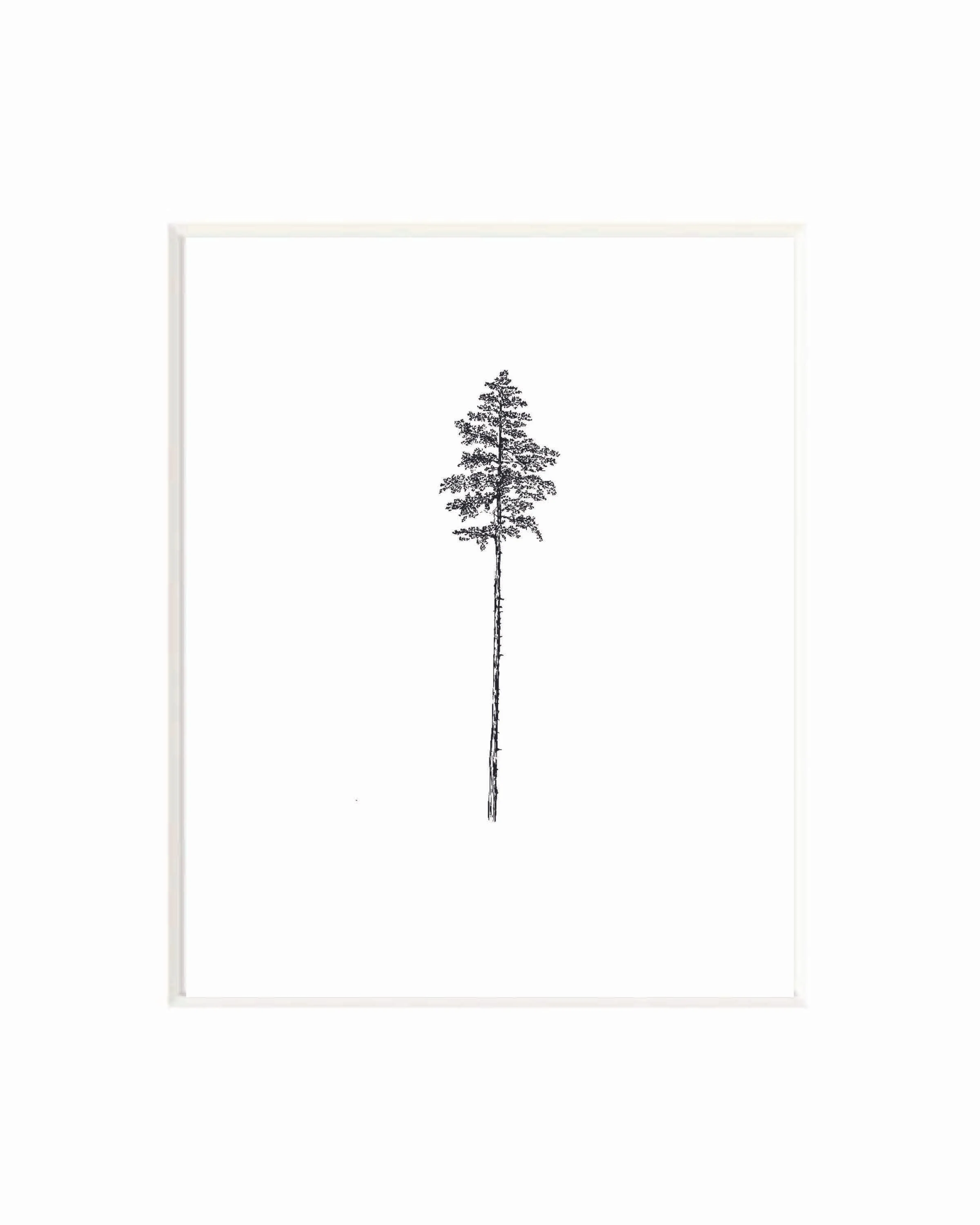 pine tree mockup.jpg