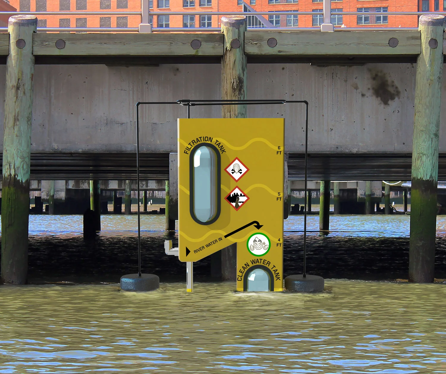 Visualize Growing Edible Oysters