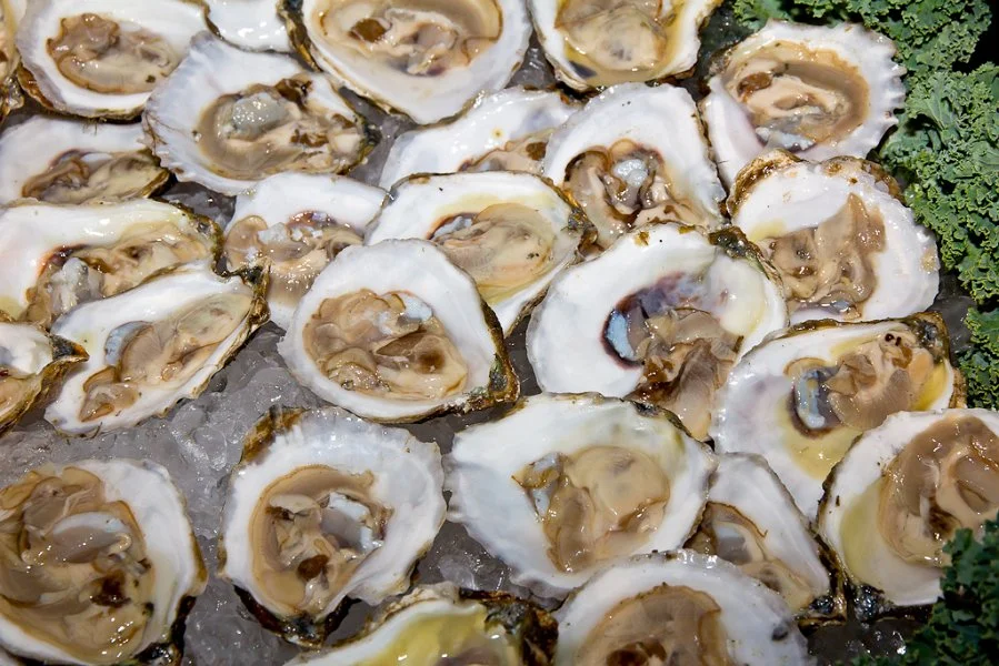 oysters on half shell.jpg