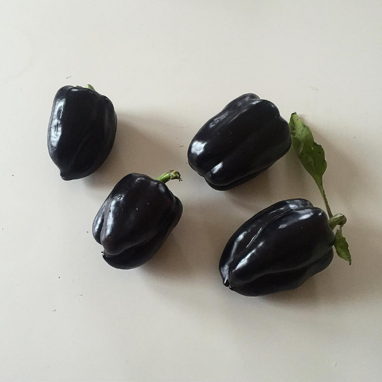 Food Noir